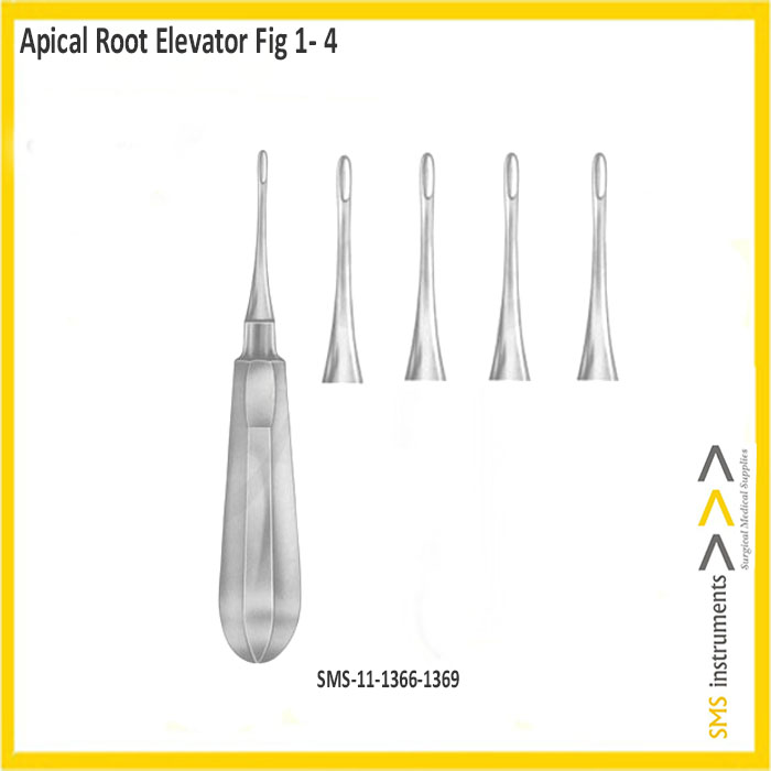 Coupland Root Elevators Fig. 1-3 | Dental Instruments |SMS Instrument.