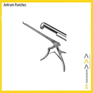 ANTRUM PUNCHES